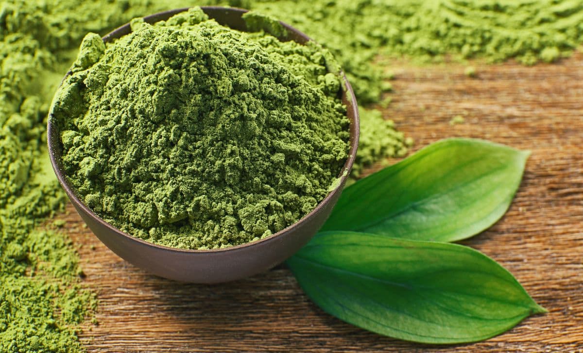 Perbedaan Green Tea dan Matcha: Mana yang Lebih Baik?