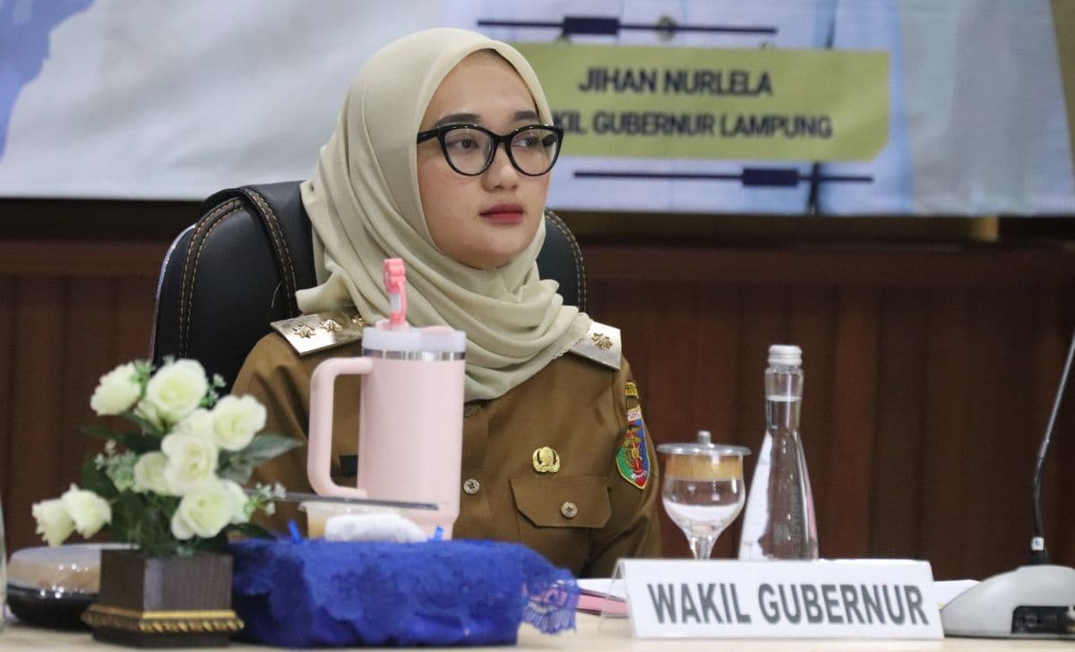 Wagub Lampung Dorong Pembangunan Rendah Karbon dan Tangguh Bencana dalam Penyusunan RPJMD 2025-2029