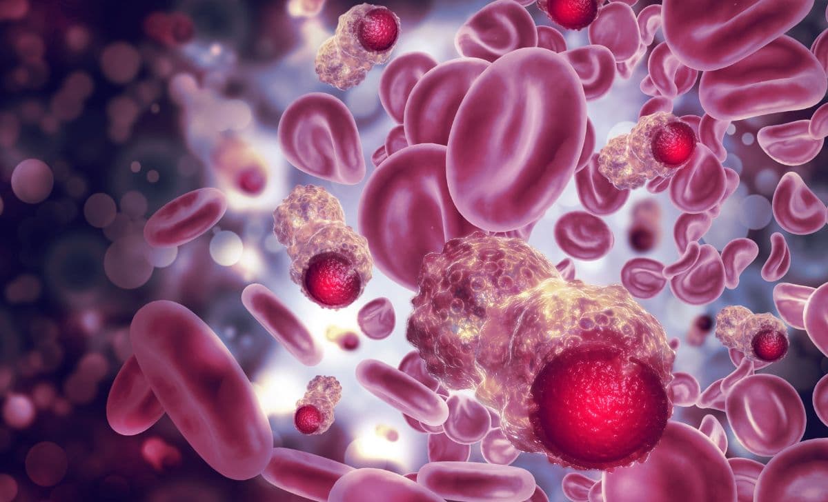 Fungsi Retikulum Endoplasma: Menyelami Peran Utama Sang Pabrik Sel