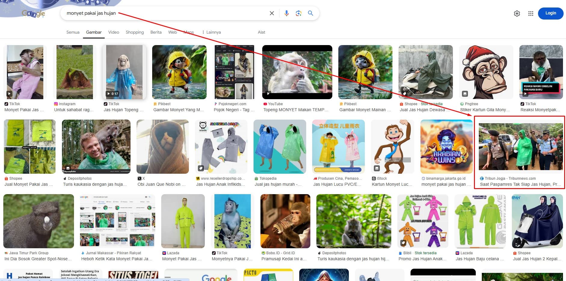 Monyet Pakai Jas Hujan: Ketika Pencarian Google Membuat Heboh Netizen