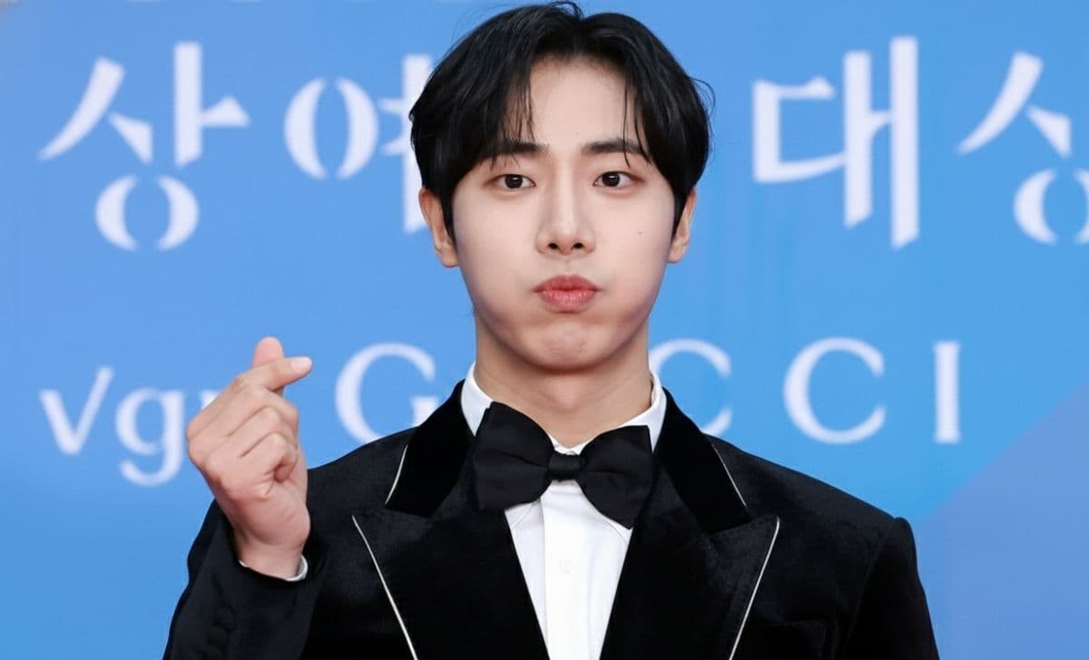 Choo Young-woo: Profile, Daftar Film, & Acara TV