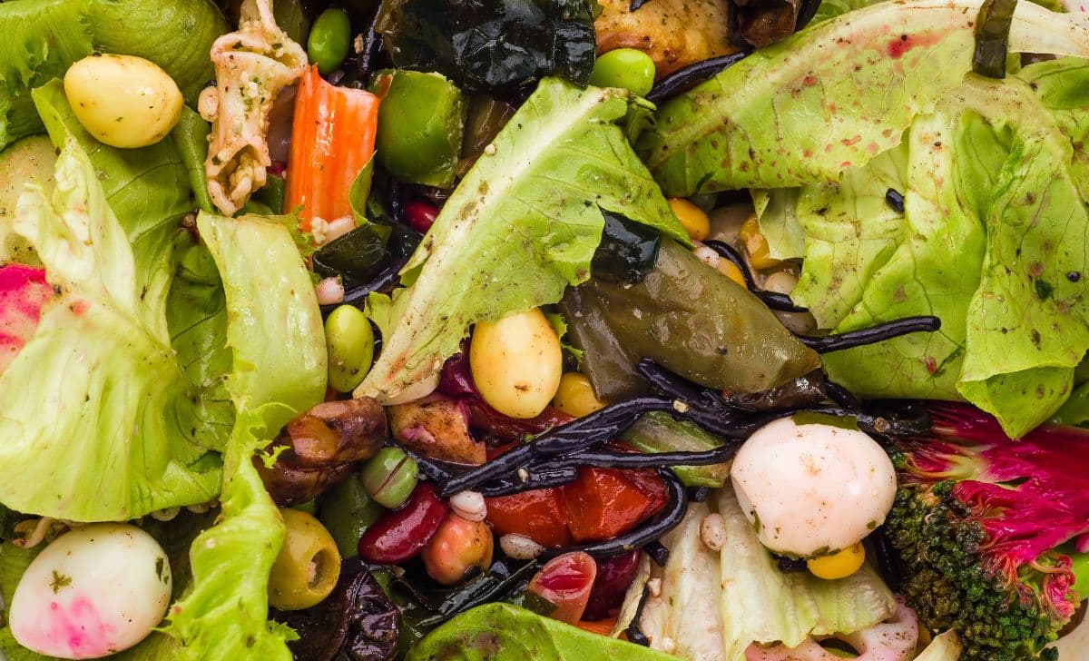 Sampah Organik: Cara Cerdas Mengubah Masalah Jadi Manfaat
