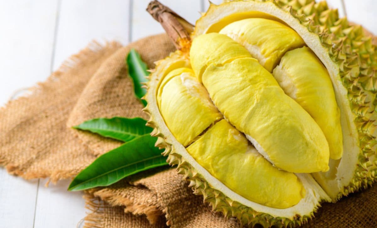 Hong Kong Jadi Pasar Utama Ekspor Durian Indonesia, Geser Dominasi Malaysia