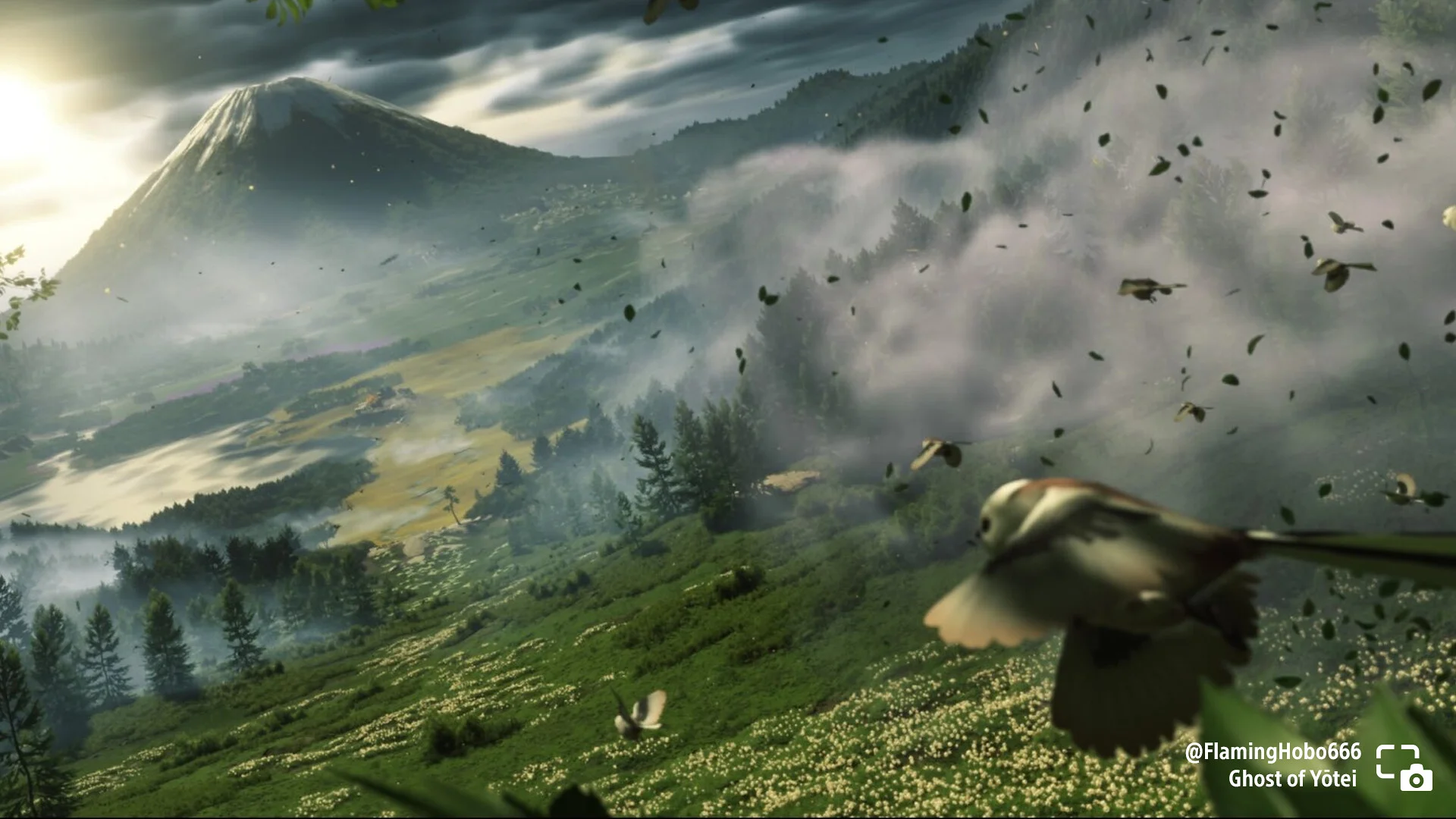 Highlights from This Week's Seasonal Photo Sharing on PlayStation