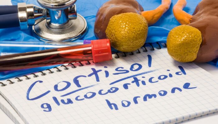 Hormon Kortisol: Fungsi, Dampak, dan Cara Menjaga Keseimbangannya