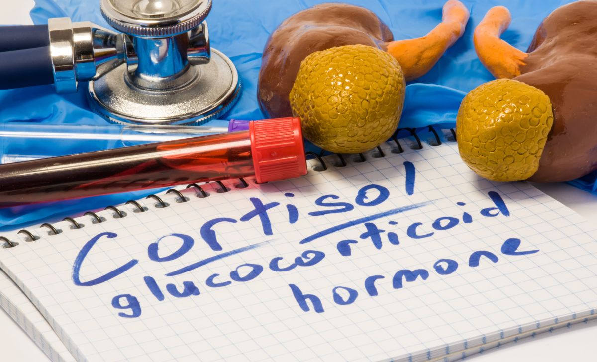 hormon kortisol