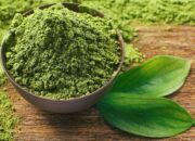 Perbedaan Green Tea dan Matcha: Mana yang Lebih Baik?