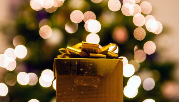 Bikin Video Bokeh No Blur Seperti Para Profesional