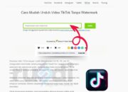 Savefrom Tiktok Solusi Download Video Tiktok Tanpa Watermark