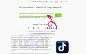 Savefrom Tiktok Solusi Download Video Tiktok Tanpa Watermark