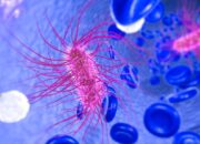 Infeksi E. coli di Masa Kanak-Kanak Tingkatkan Risiko Kanker Kolorektal di Usia Muda