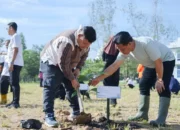 UIN Raden Intan Lampung Turut Sukseskan Gerakan Penanaman 1 Juta Pohon Matoa