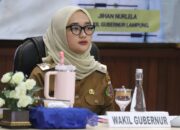 Wagub Lampung Dorong Pembangunan Rendah Karbon dan Tangguh Bencana dalam Penyusunan RPJMD 2025-2029