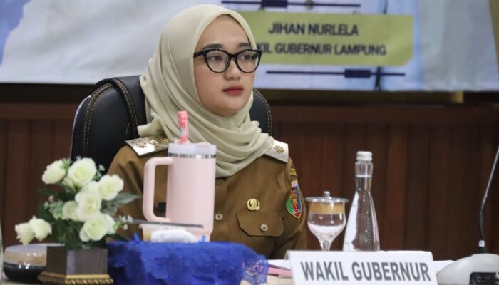 Wagub Lampung Dorong Pembangunan Rendah Karbon dan Tangguh Bencana dalam Penyusunan RPJMD 2025-2029