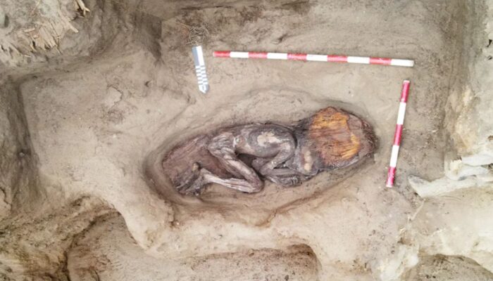 Jasad Bangsawan Perempuan Berusia 4.500 Tahun Ditemukan Utuh di Peru