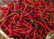 Jelang Idul Adha, Harga Cabai dan Bawang Turun di Pasar Jakarta-Tangerang