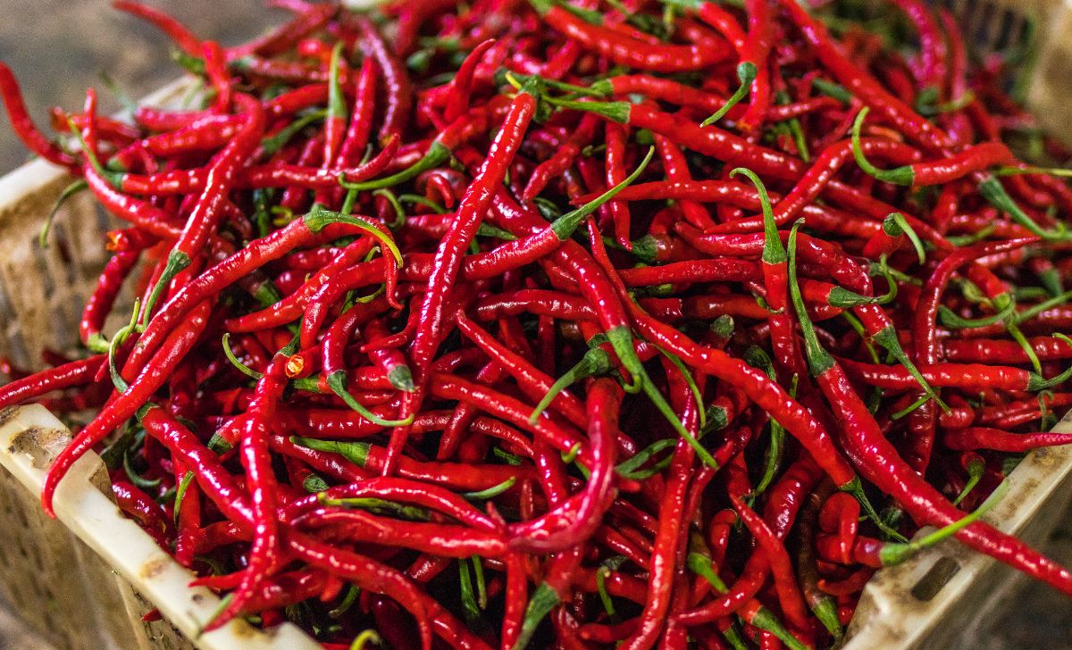 Jelang Idul Adha, Harga Cabai dan Bawang Turun di Pasar Jakarta-Tangerang