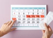 Mengenal Masa Subur Wanita: Kunci Penting dalam Perencanaan Kehamilan