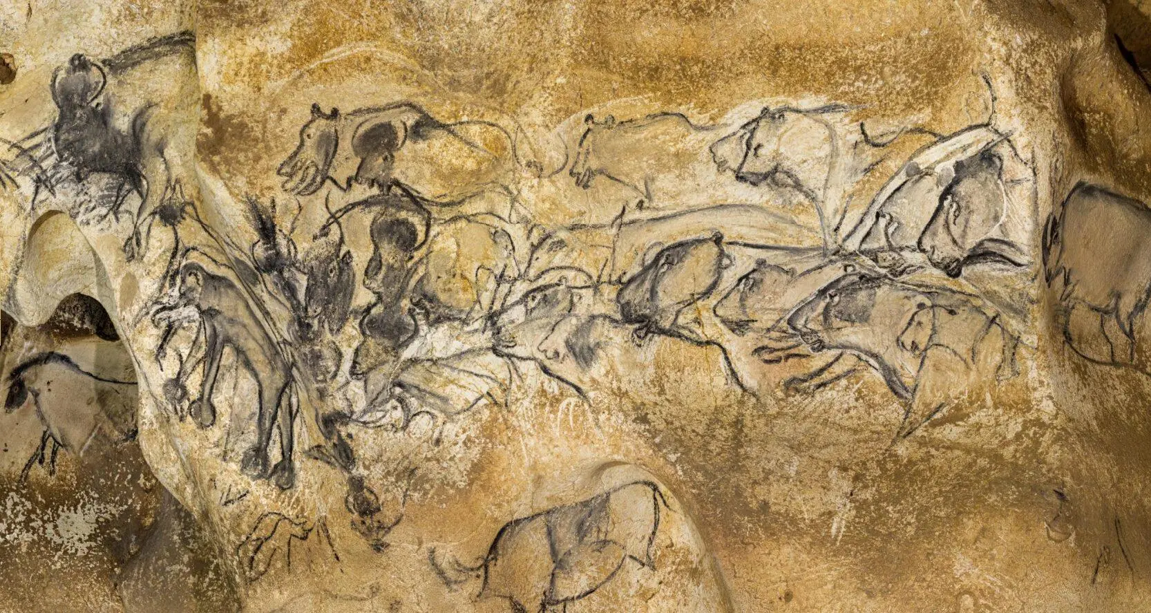 Lukisan Tertua di Gua Chauvet