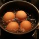 Rebus Telur Berapa Menit
