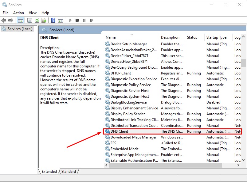 chrome://net-internals/#dns