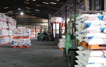 BPK Temukan Pemborosan Subsidi Pupuk Rp2,92 Triliun di PT Pupuk Indonesia