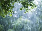 BMKG: Indonesia Masih Alami Kemarau Basah