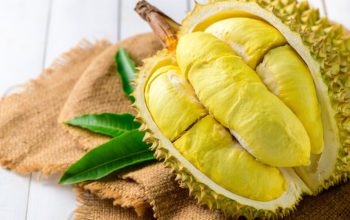 Hong Kong Jadi Pasar Utama Ekspor Durian Indonesia, Geser Dominasi Malaysia