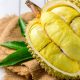 Hong Kong Jadi Pasar Utama Ekspor Durian Indonesia, Geser Dominasi Malaysia