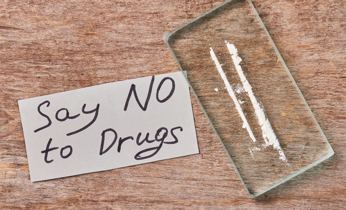 Kepala BNN Tangkap Artis Pengguna Narkoba Hanya Iklankan Narkoba Secara Gratis