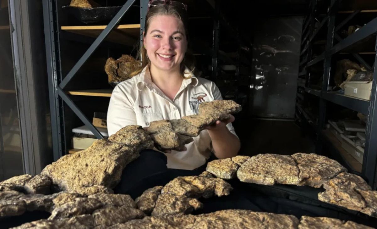 Peneliti Temukan Fosil Isi Perut Dinosaurus Pertama di Dunia, Ungkap Kebiasaan Makan Sauropoda