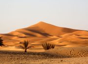 Satu WNI Tewas, Dua Lainnya Selamat Setelah Ditinggal di Gurun Makkah oleh Sopir Taksi Gelap