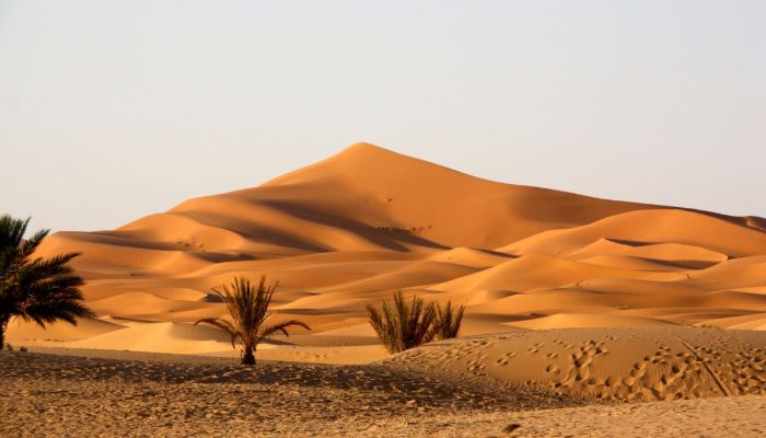 Satu WNI Tewas, Dua Lainnya Selamat Setelah Ditinggal di Gurun Makkah oleh Sopir Taksi Gelap