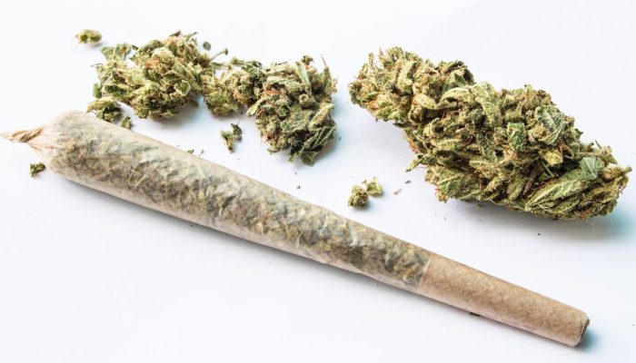 Thailand Larang Penjualan Ganja Tanpa Resep Dokter, Toko-Toko Panik Hadapi Aturan Baru