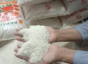 Mentan Laporkan Ratusan Pengusaha Beras ke Kapolri dan Jaksa Agung