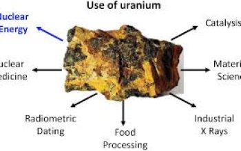 PLN Ungkap Potensi 24 Ribu Ton Uranium di Kalbar untuk Pembangkit Listrik Tenaga Nuklir