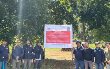 Empat Perusahaan Tambang Nikel di Raja Ampat Ditemukan Langgar Aturan Lingkungan