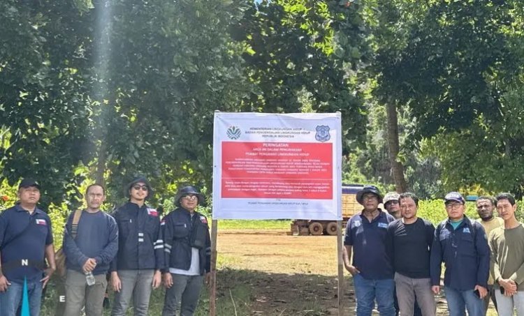 Empat Perusahaan Tambang Nikel di Raja Ampat Ditemukan Langgar Aturan Lingkungan