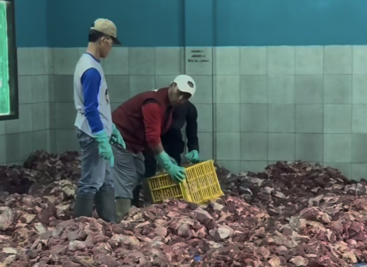 Desa Batur Banjarnegara Banjir Kurban: 720 Hewan Disembelih