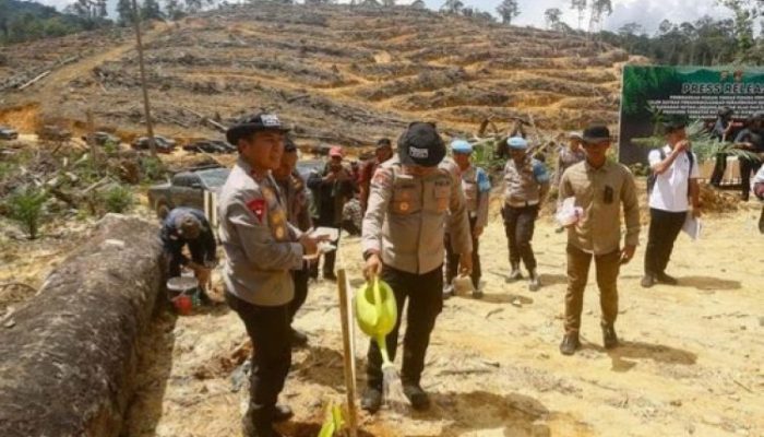 Perambahan Hutan Lindung di Perbatasan Riau-Sumbar Terungkap
