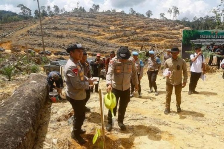 Perambahan Hutan Lindung di Perbatasan Riau-Sumbar Terungkap