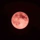 Fenomena Langka “Strawberry Moon” Hiasi Langit Indonesia