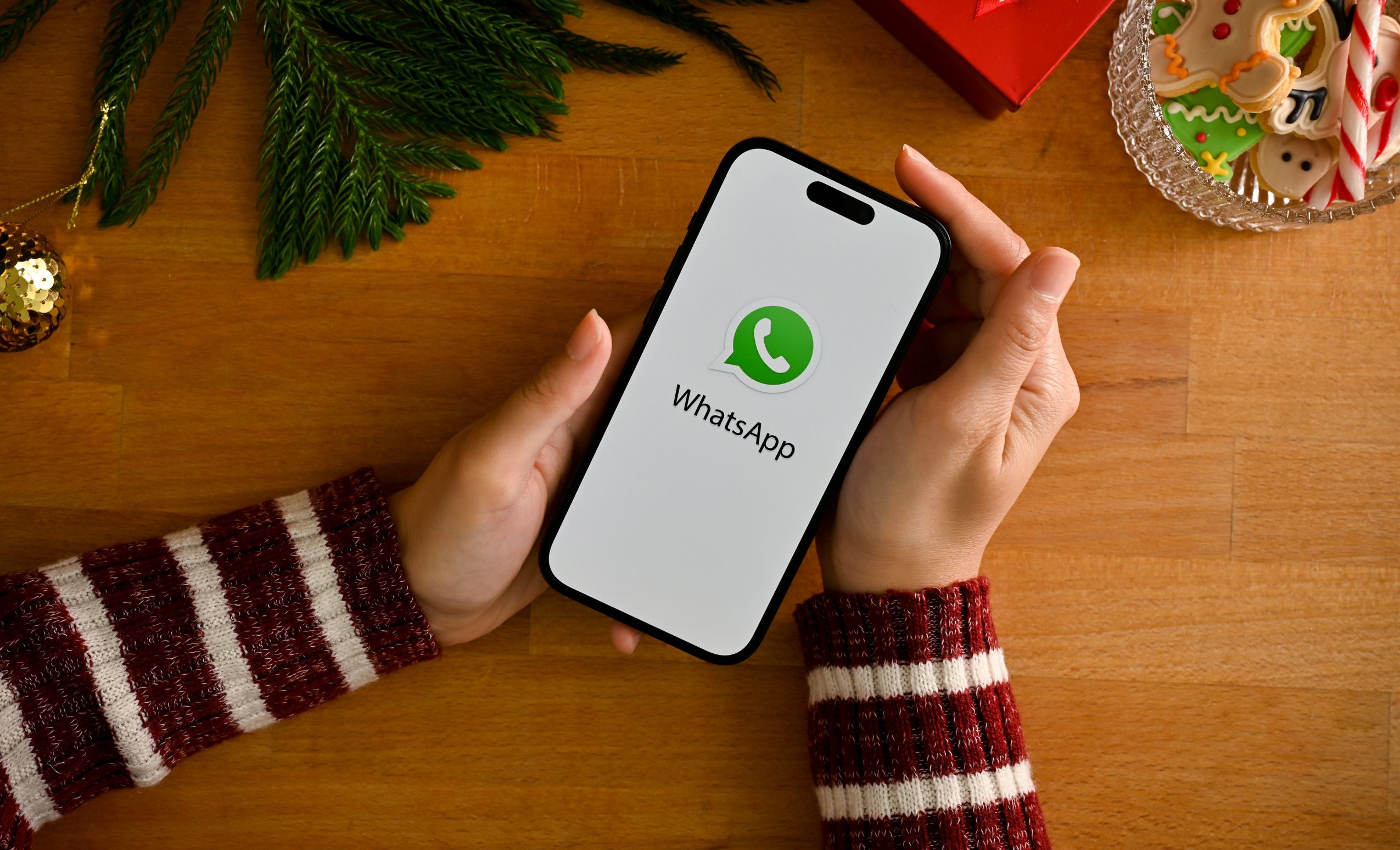 Link Grup WA Pemersatu Bangsa