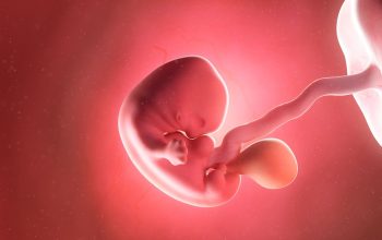 Ilmuwan AS Ciptakan Embrio Manusia dari Sel Kulit, Buka Harapan Baru bagi Pasangan Infertilitas