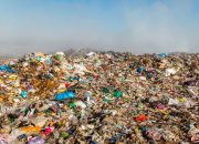 Pengelolaan Sampah Solusi Nyata untuk Lingkungan yang Lebih Bersih