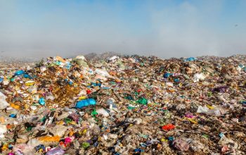 Pengelolaan Sampah: Solusi Nyata untuk Lingkungan yang Lebih Bersih