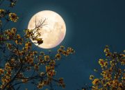 Dari Mana Asal Cahaya Bulan Ini Penjelasan Ilmiahnya!