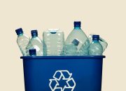 Tips Kelola Sampah Non-Organik untuk Lingkungan Lebih Sehat