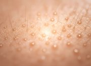 Cara menghilangkan chicken skin di wajah