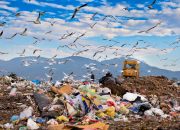 Fakta Penting tentang Polusi Udara Sumber, Dampak, dan Solusinya